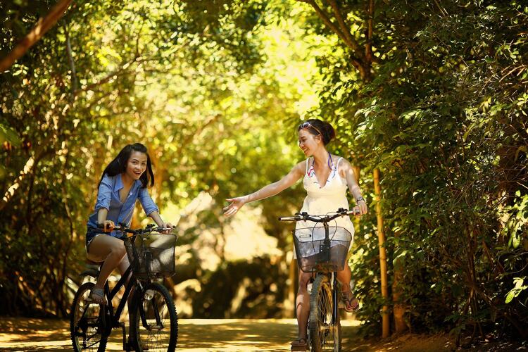 Veel mensen die Nederland bezoeken hebben al jaren geen fiets meer aangeraakt.