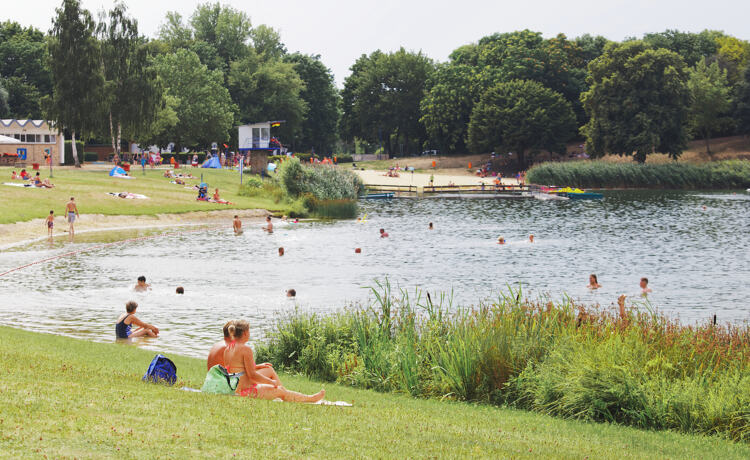 Blauwalg is eigenlijk geen alg, maar een soort bacterie die eruitziet als drijvende verf op het water.