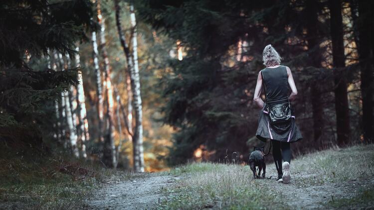 Je kan een wandeling goed combineren met een uitje voor je hond.